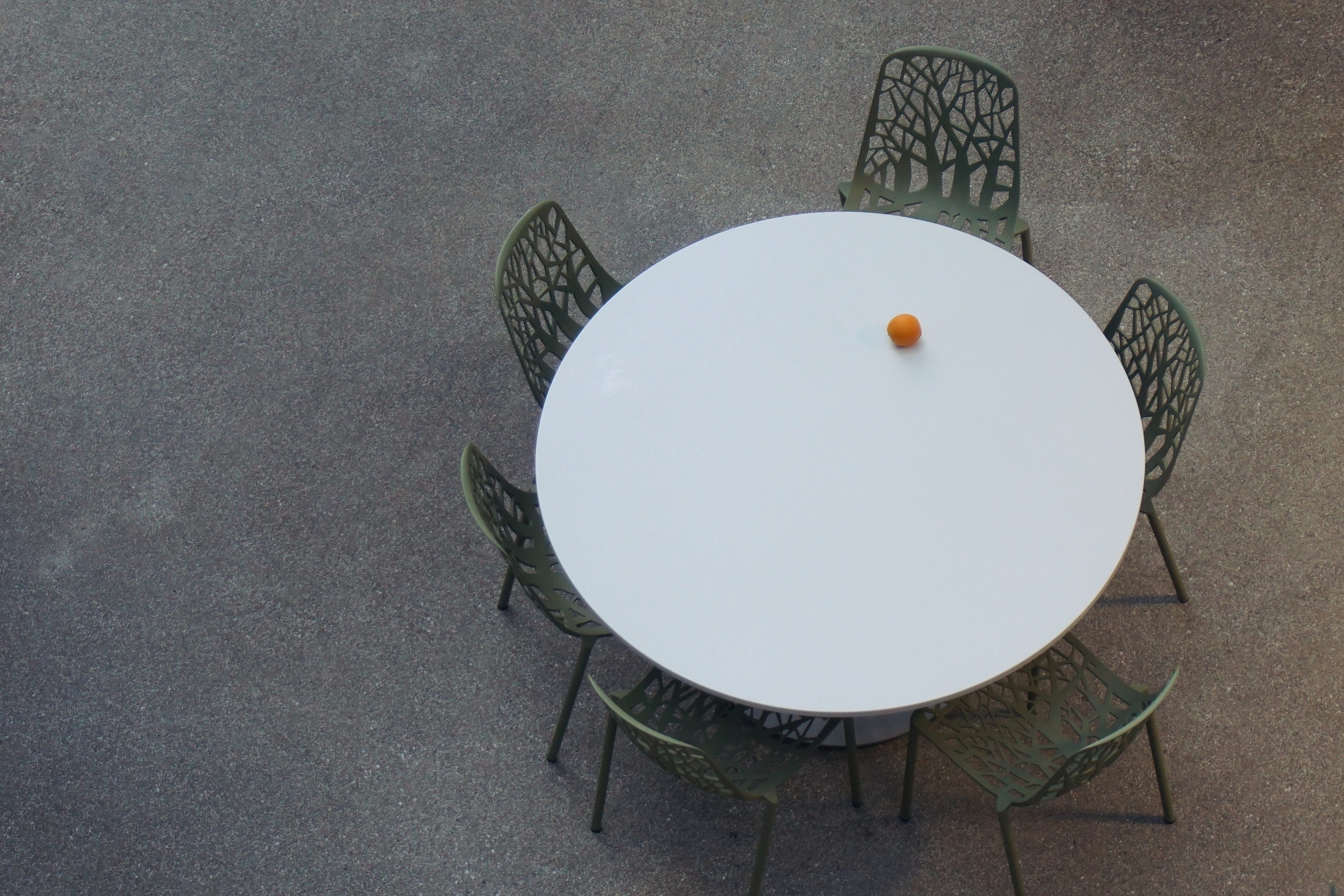 missmushroom-roundtable-unsplash