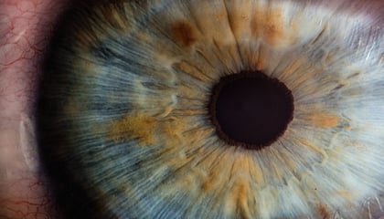 Close up of eye 