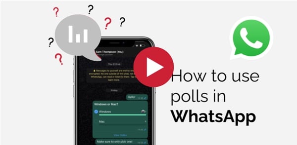 How to use polls in WhatsApp